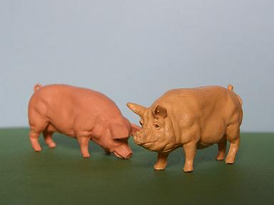 Herald Pigs