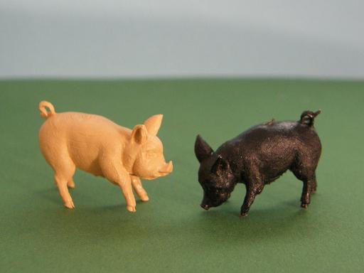 Herald Piglets
