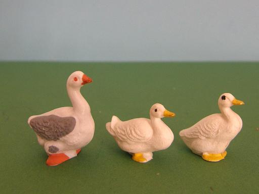 Britains Waterfowl