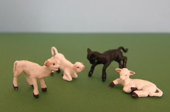Herald Lambs