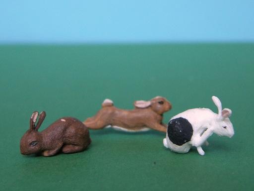 Herald Rabbits