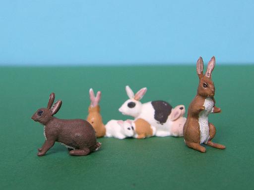 Herald Rabbits